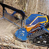 Schwaben feiern 20 Jahre Deltrak