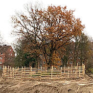 Biologie im Klimawandel und Baumschutz auf Baustellen im Fokus