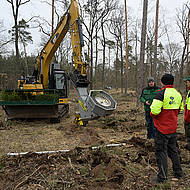 L&ouml;sungen zur Wiederbewaldung in Zeiten des Klimawandels