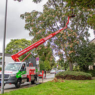 Vollelektrische Lkw-Arbeitsb&uuml;hne Ampero TBR 250 E bei Gr&uuml;nfl&auml;chenamt im Langzeiteinsatz