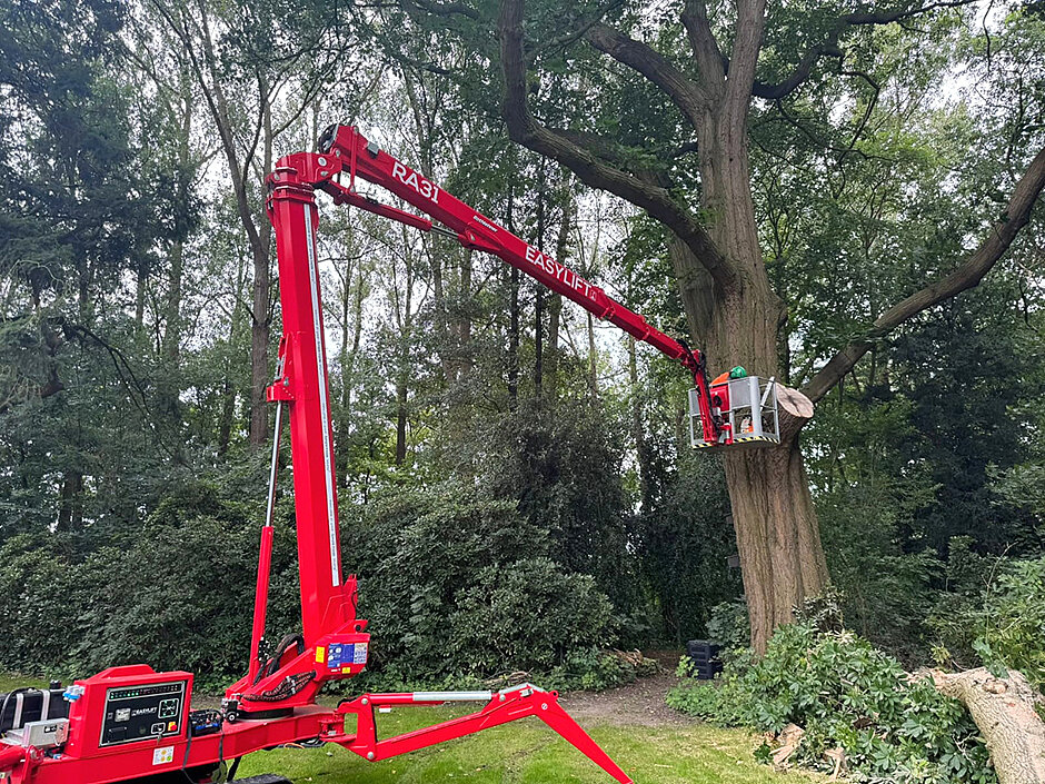 EasyLift RA31: 30-Meter-Raupenbühne für Baumpflege Wilkens