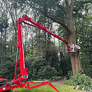 EasyLift RA31: 30-Meter-Raupenb&uuml;hne f&uuml;r Baumpflege Wilkens