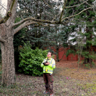 Fl&auml;chige Baumbest&auml;nde einfach per App erfassen