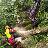 RotoTop: f&uuml;r effizienteres Baggerfahren