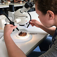 Fortbildung f&uuml;r Bauhofmitarbeiter &ndash; Kursstart Gepr&uuml;fter Natur- und Landschaftspfleger