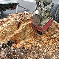 Vom Profi empfohlen: Wurzelstockrodung mit der  Wurzelratte 