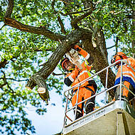 Individuelle Qualifizierungsprogramme f&uuml;r Besch&auml;ftigte &ndash; bis zu 100 Prozent F&ouml;rderung
