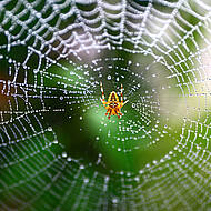 Putek-Spider-Material macht Sicherheitsstiefel &bdquo;Bradley&ldquo; robust und leicht