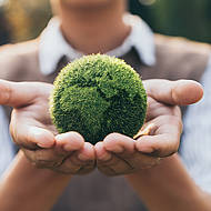 ambratec GREENLINE &ndash; Die gr&uuml;ne Alternative f&uuml;r umweltfreundliche Reinigung 