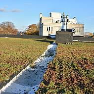 Dachbegr&uuml;nung schafft positives Mikroklima