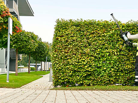  HTX7500 und STX3800 &ndash; EGO pr&auml;sentiert neue Heckenschere und neuen Rasentrimmer 