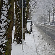 Achtsamer Winterdienst sch&uuml;tzt B&auml;ume