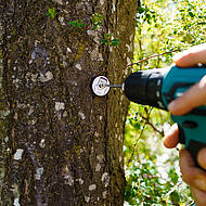 Sommerlich digital: Spielplätze und Grünflächen „smart verwalten”