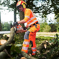 Reflectiq-Schnittschutzhose: bestens geschützt bei Baumpflege- und Fällarbeiten 