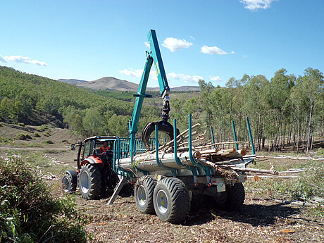 Pfanzelt: Sonne, &Auml;tna und Zitrusfr&uuml;chte