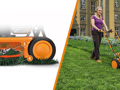 Satt und gesund &ndash; mit AS-Motor-Mulchern zum Wunschrasen