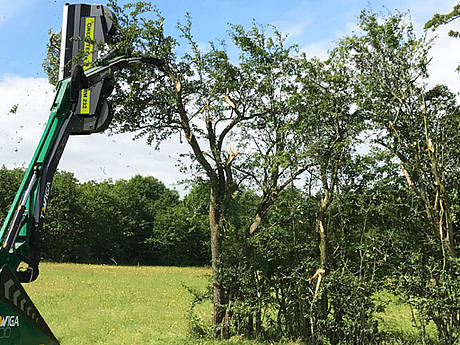 GreenTec: Astschneider pflegt Hecken an Stra&szlig;en in einem Arbeitsgang