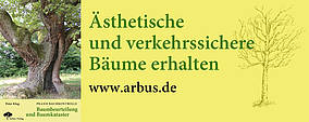 Arbus: Praxis Baumkontrolle