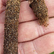 Erleichterung in der Rasenpflege: erster Recycler f&uuml;r Zugfahrzeuge von Wiedenmann