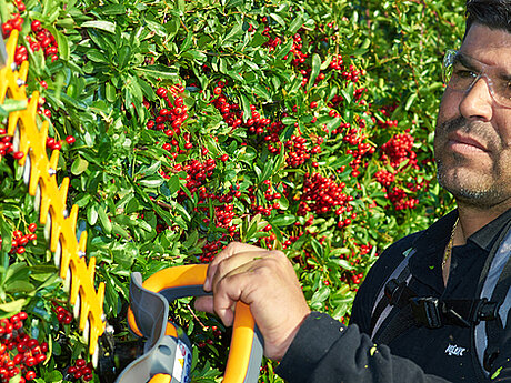 PELLENC bringt die neue Heckenschere &bdquo;HELION 2 COMPACT&rdquo; auf den Markt!