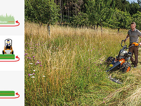 AS Motor: So gelingt &ouml;kologische Gr&uuml;nlandpflege