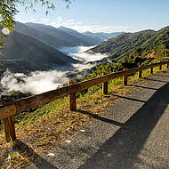 Holz-Metall-Leitplanken für sichere Straßen