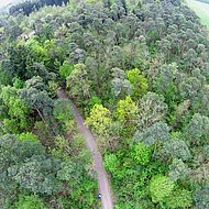 5. KWF-Thementage setzen Fokus auf technische L&ouml;sungen zur Walderschlie&szlig;ung