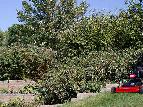 Toro TurfMaster &ndash; der handgef&uuml;hrte M&auml;her mit extrabreitem M&auml;hwerk