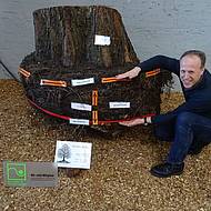 Wurzelsch&auml;den zum Anfassen 