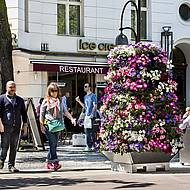 PYRA Pflanzenpyramiden &ndash; &uuml;ppige Bl&uuml;tenpracht auf &ouml;ffentlichen Fl&auml;chen