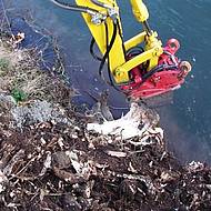 Roden: Die Wurzelratte von Wurotec als Wasserratte 