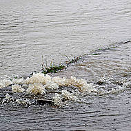 Einh&auml;ngen von Rattengiftk&ouml;dern verst&ouml;&szlig;t gegen Vorschriften