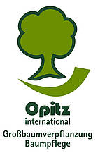 Opitz GmbH u. Co KG Großbaumverpflanzung