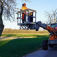 Sicher hoch hinaus: die neue Pro-Serie mit Arbeitsbühne