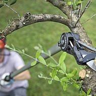Sicher arbeiten mit Teleskopstangen und Hubsteigern