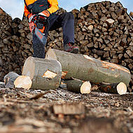 Startklar f&uuml;r die Holzsaison: die Motors&auml;ge ECHO CS-620SX 