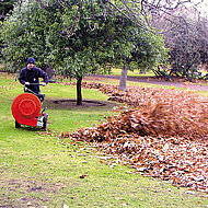 Kersten mit ger&auml;uscharmen Laubbl&auml;ser 
