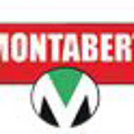 Theisen setzt auf Montabert-H&auml;mmer