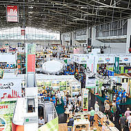 Rundholz: Bereitstellung und Verwendung f&uuml;r die Zukunft