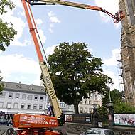 Die erste JLG 1500AJP im Einsatz