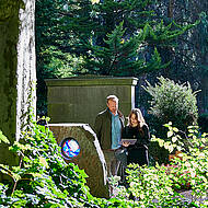 Verkehrssicherheit auf dem Friedhof: digitale L&ouml;sungen im Fokus