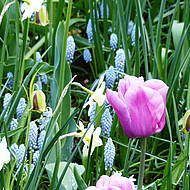 Pflanzmaschine von Flower Your Place