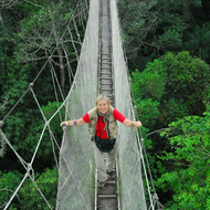 Deutsche Baumpflegetage 2019: Internationale Themenvielfalt mit starkem Praxisbezug 