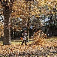 Bullige Blaskraft von STIHL &ndash; besonders flexibel und komfortabel 