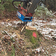 M&uuml;helos &ndash; Wurzelrodung an der B&ouml;schung