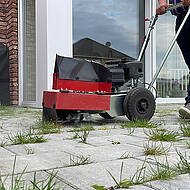 Unkraut chemiefrei und nachhaltig entfernen 