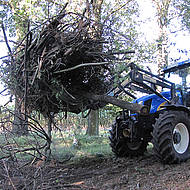 Schnell und effizient: Energieholzverladung mit der Reisiggabel