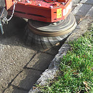 Wildkraut war DAS Thema auf der GaLaBau