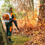 Das Profi-Blasger&auml;t STIHL BR 700 