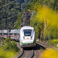 Nächster Halt: Deutsche Baumpflegetage in Augsburg